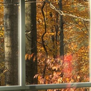 Meet your Posher, Marcia